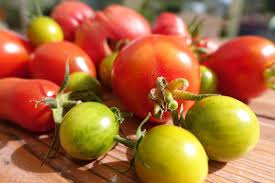 Tomates Bio - 1kg